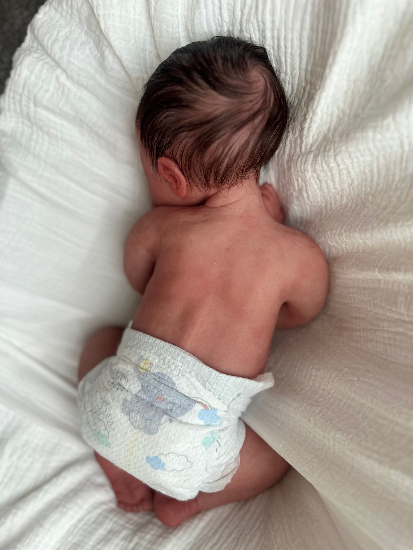 (Cuddle Cub) Silicone Baby boy OLIVER (Rooted HAIR)(Customization Available)