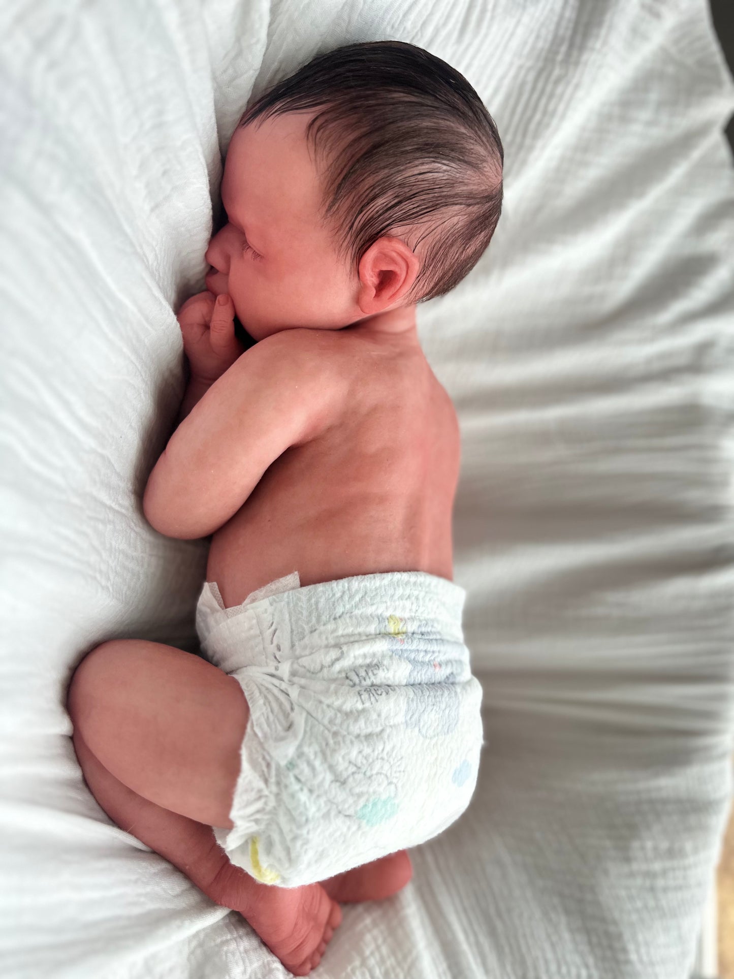 (Cuddle Cub) Silicone Baby boy OLIVER (Rooted HAIR)(Customization Available)