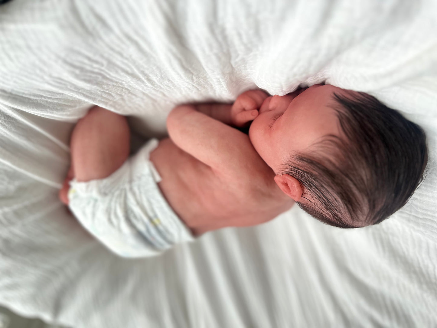(Cuddle Cub) Silicone Baby boy OLIVER (Rooted HAIR)(Customization Available)