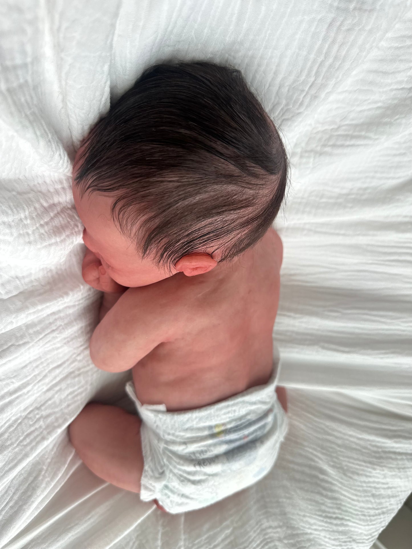 (Cuddle Cub) Silicone Baby boy OLIVER (Rooted HAIR)(Customization Available)