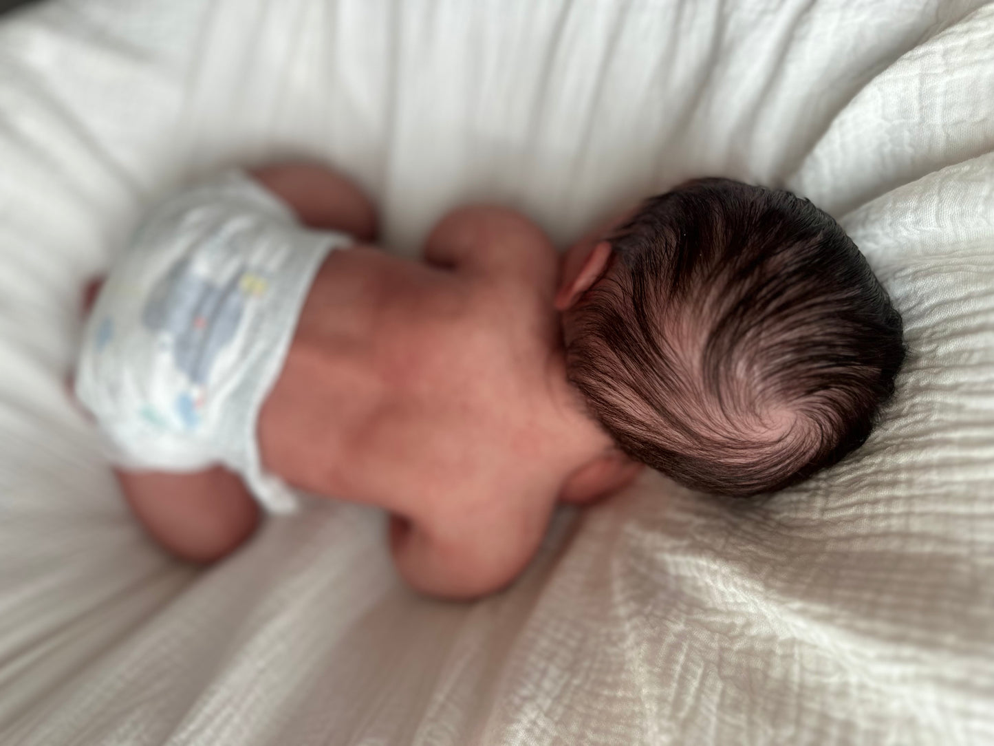 (Cuddle Cub) Silicone Baby boy OLIVER (Rooted HAIR)(Customization Available)