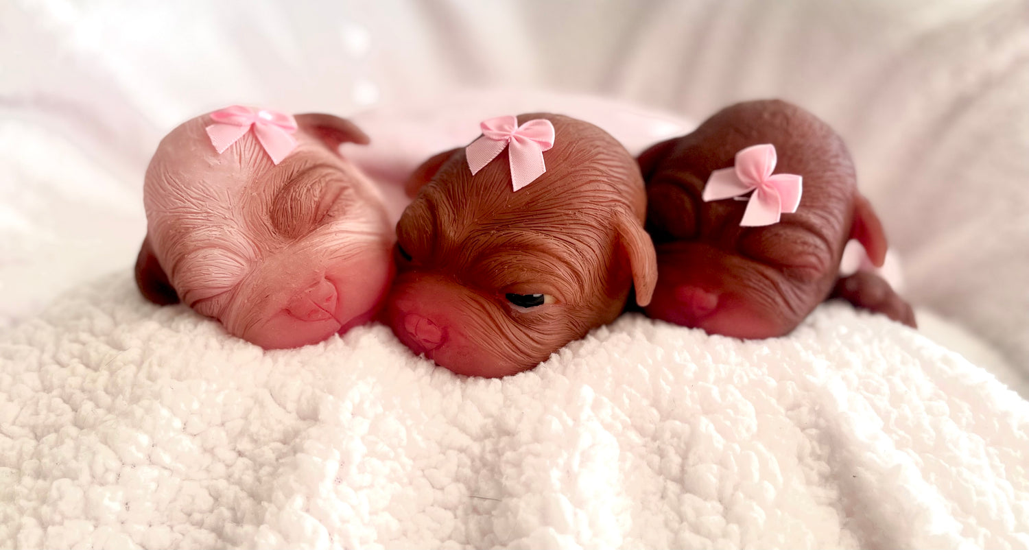 SNUGGLE PUPPIES