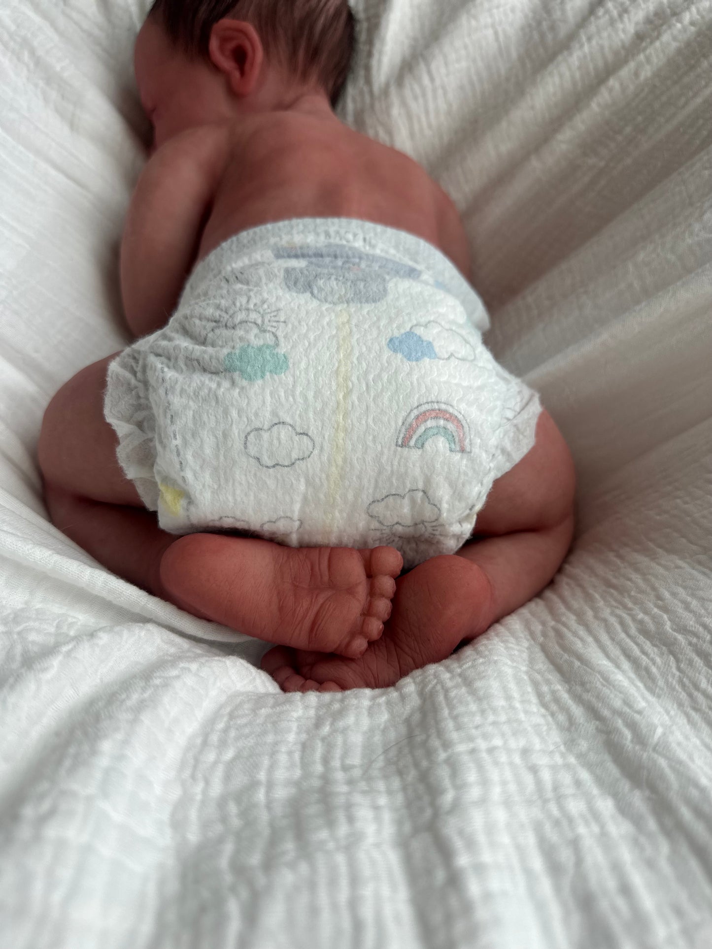 (Cuddle Cub) Silicone Baby boy OLIVER (Rooted HAIR)(Customization Available)